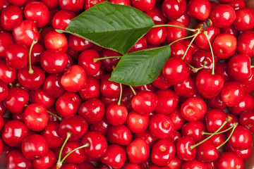 Red cherries