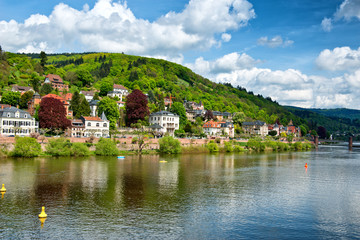 Fototapeta na wymiar Picturesque houses in Heidelberg, Germany