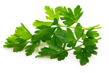 Bunch fresh parsley. Isolated on white background