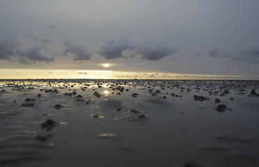 Wattenmeer, Schleswig-Holstein, Deutschland