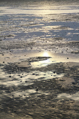 Wattenmeer, Schleswig-Holstein, Deutschland