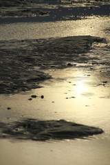 Wattenmeer, Schleswig-Holstein, Deutschland