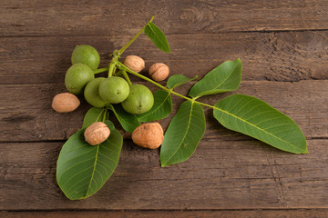 Mallo di noci  con foglie - Husk nuts with leaves
