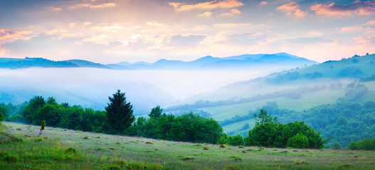 Obraz na płótnie Canvas Colorful summer morning in the foggy Carpathian mountains