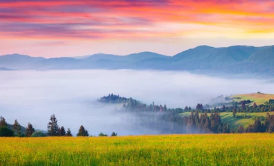 Fototapeten Colorful summer sunrise in the foggy Carpathian mountains © Andrew Mayovskyy
