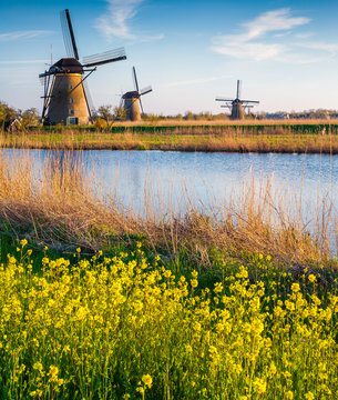 Colorful spring morning on the canal in Netherlands. © Andrew Mayovskyy