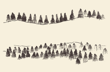Fir Forest Contours Engraving in Mountains