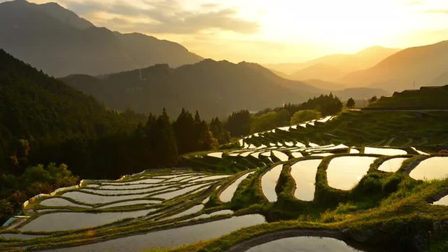 Rice terraces of Maruyama Sendmaida in Kumano, Japan.