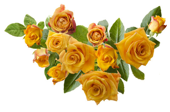 Beautiful  frame with bouquet of yellowish orange roses isolated on white background