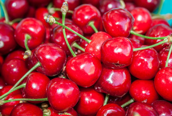 Ripe sweet cherries