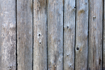 Wood planks background. Barn wall