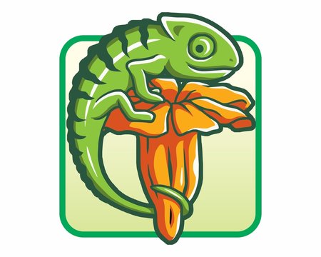 chameleon reptile flower