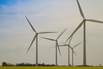 Windräder zur Gewinnung alternativer Energien auf einem Rapsfeld