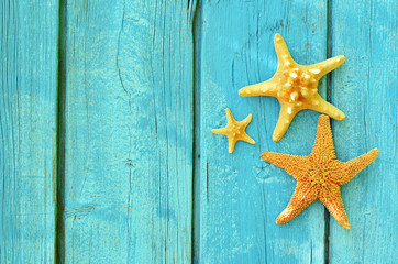 Family of starfish on a blue wooden background.