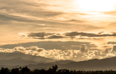 evening scene in Thailand , sky with sunlight  silhouette tree l
