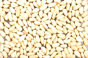 Pininekerne Hintergrund