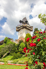 Grazer Uhrturm mit Rosen