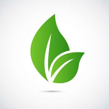 Abstract leafs care vector logo icon. Eco icon with green leaf