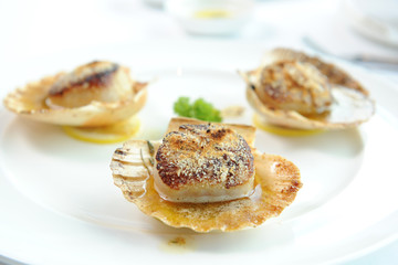 scallop