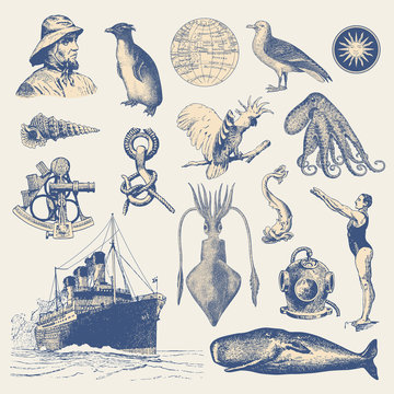 collection of nautical design elements
