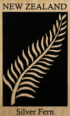 New Zealand fern in wooden background