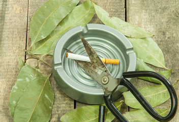 Scissors are cutting a cigarette