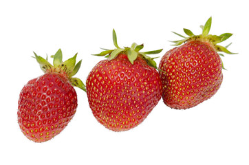 Fresh strawberries