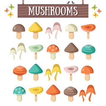 Trendy flat mushrooms set. Beautiful colorful mushrooms
