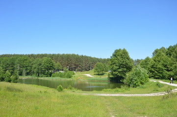 Obraz premium Июнь на брянщине