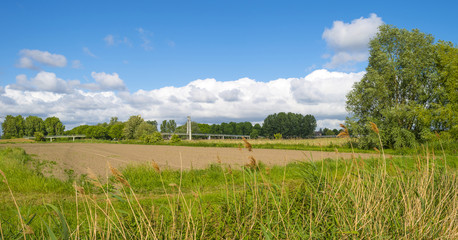 Bridge in a rural landscape in spring