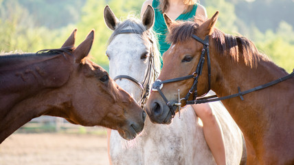Horseback riding