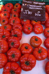 Marmanto Tomato