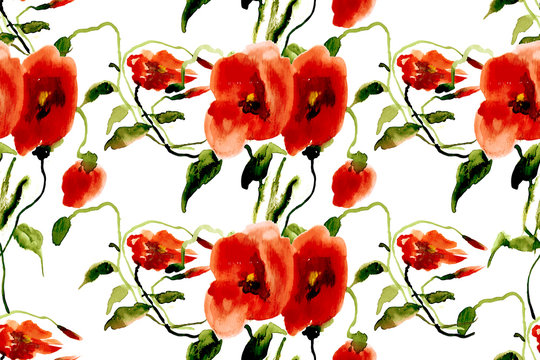 Postcard painted red poppy