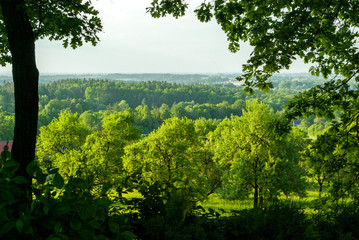 zielona panorama
