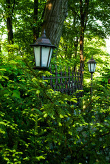 latarnia w ogrodzie © Krzysztof Matloch