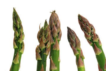 green asparagus isolated