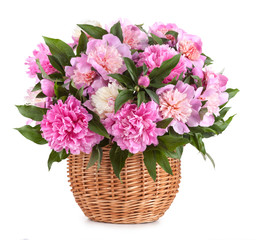 Bouquet peons in a basket isolated on a white background
