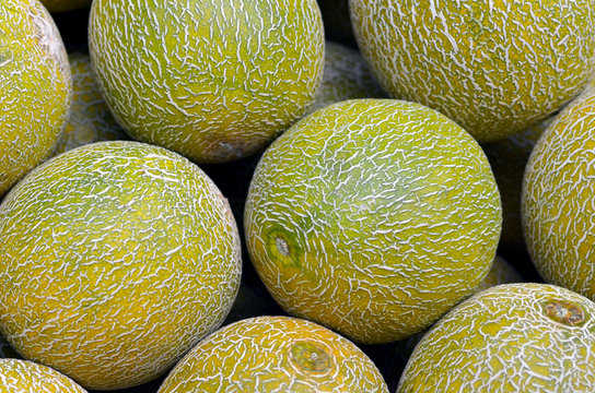 Melons on display in food market