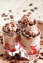 Delicious coffee and chocolate ice cream with strawberries, sele