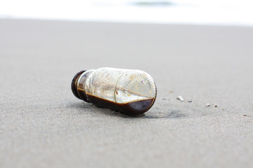 Coffe Bottle abandoned on the beach