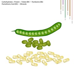 Twisted Cluster Bean with Vitamin B9, B6 and B5