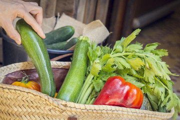 Buying fresh vegetables in a market on a pram