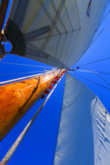 Sailing boat