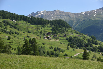 Fototapeta na wymiar paesaggio montagna estate prato verde cielo