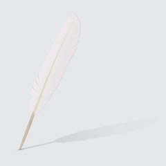 Vector white feather