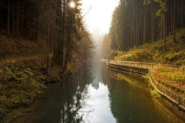 Amselsee