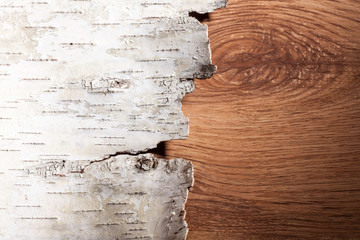 Texture. Wooden texture - wood grain