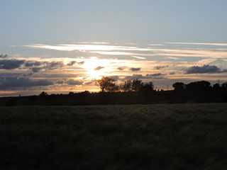 fields sunset