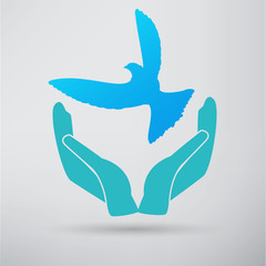 Obraz premium illustration of the dove in hand