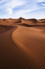 Fototapeta na wymiar Arenas infinitas. Sahara, Marruecos.